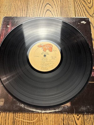 Bee Gees - Mr. Natural | 1974 | RSO | Vinyl LP
