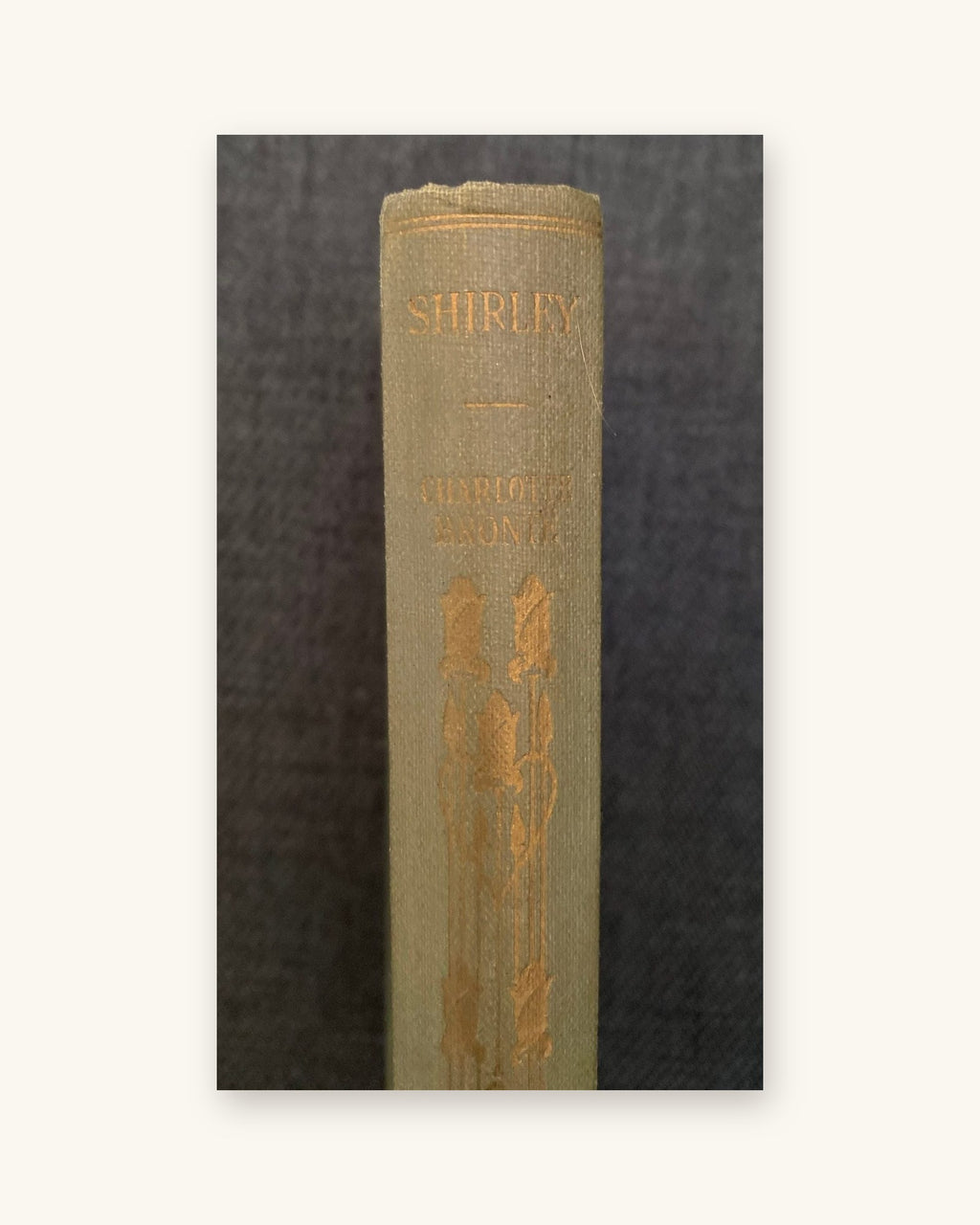 1924: Shirley, a novel by Charlotte, Emily and Anne Bronte, part XIV of the World's Classics