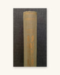 1924: Shirley, a novel by Charlotte, Emily and Anne Bronte, part XIV of the World's Classics