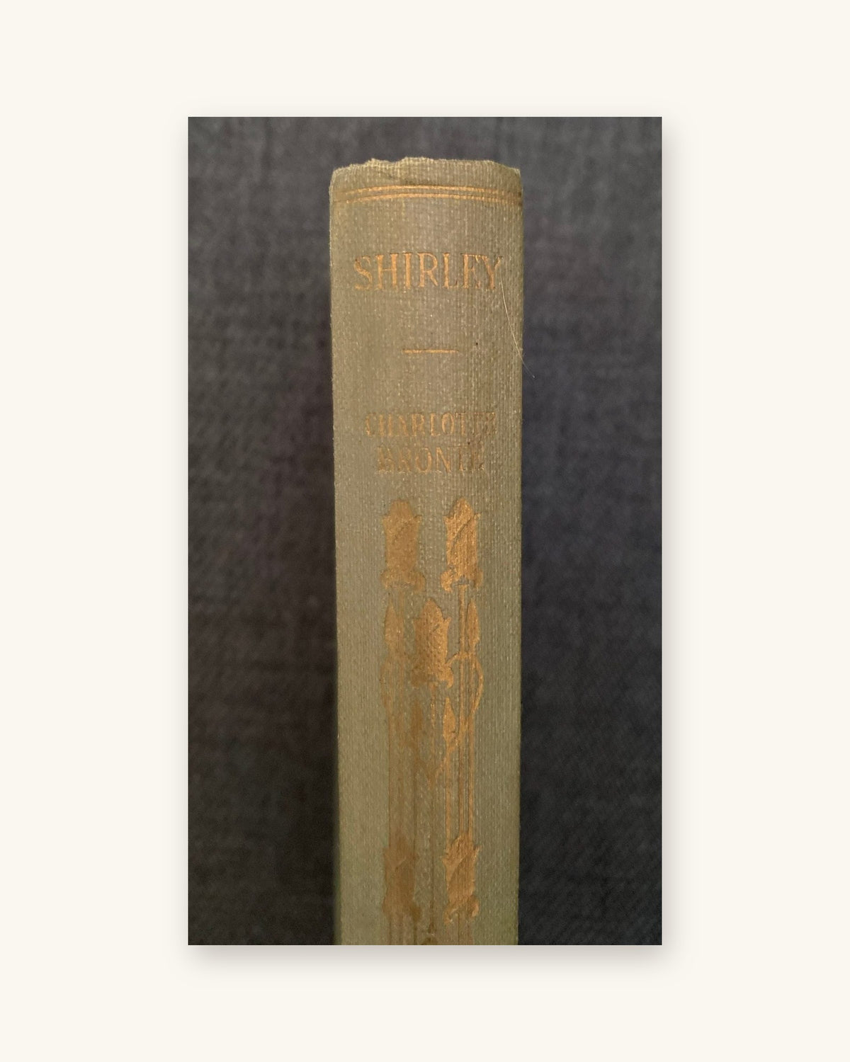 1924: «Шэрлі», раман Шарлоты, Эмілі і Эн Бронтэ, частка XIV серыі «World's Classics»