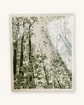 1989: Selected Poems, by Halldis Moren Vesaas