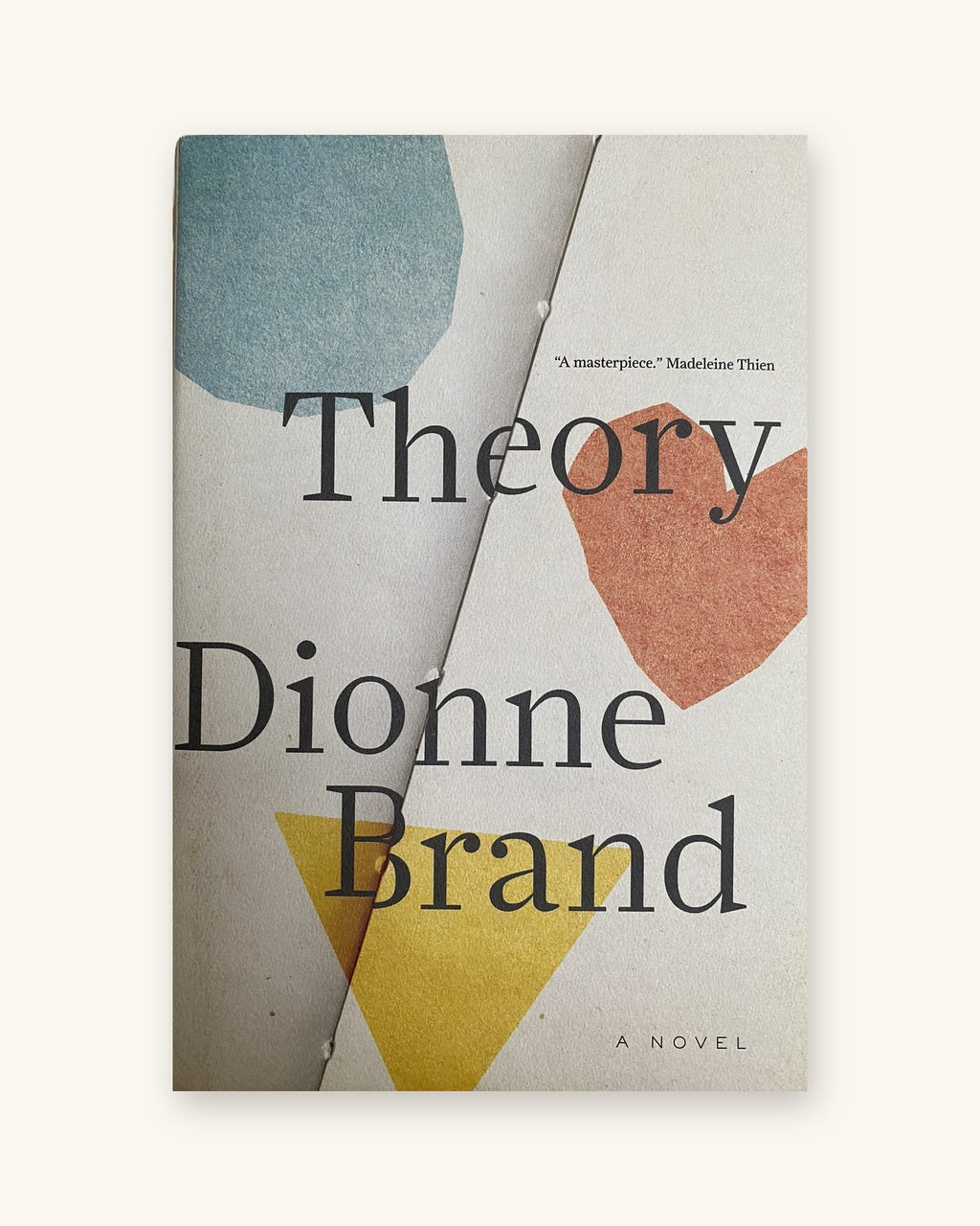 2018 First Edition: Theory, by Dionne Brand