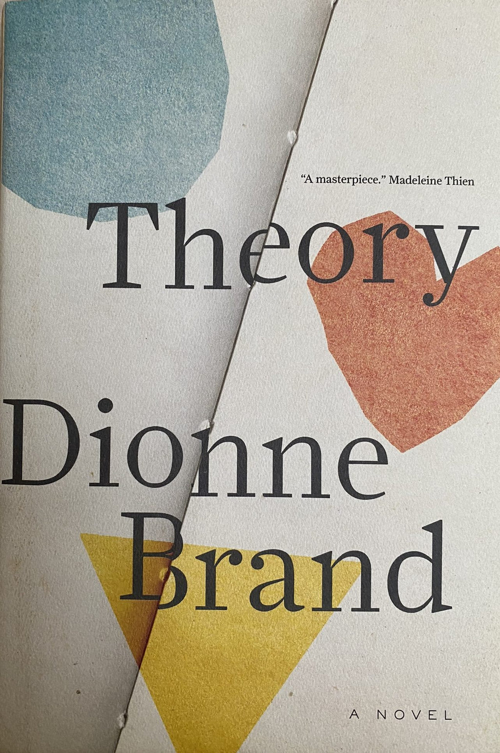 2018 First Edition: Theory, by Dionne Brand