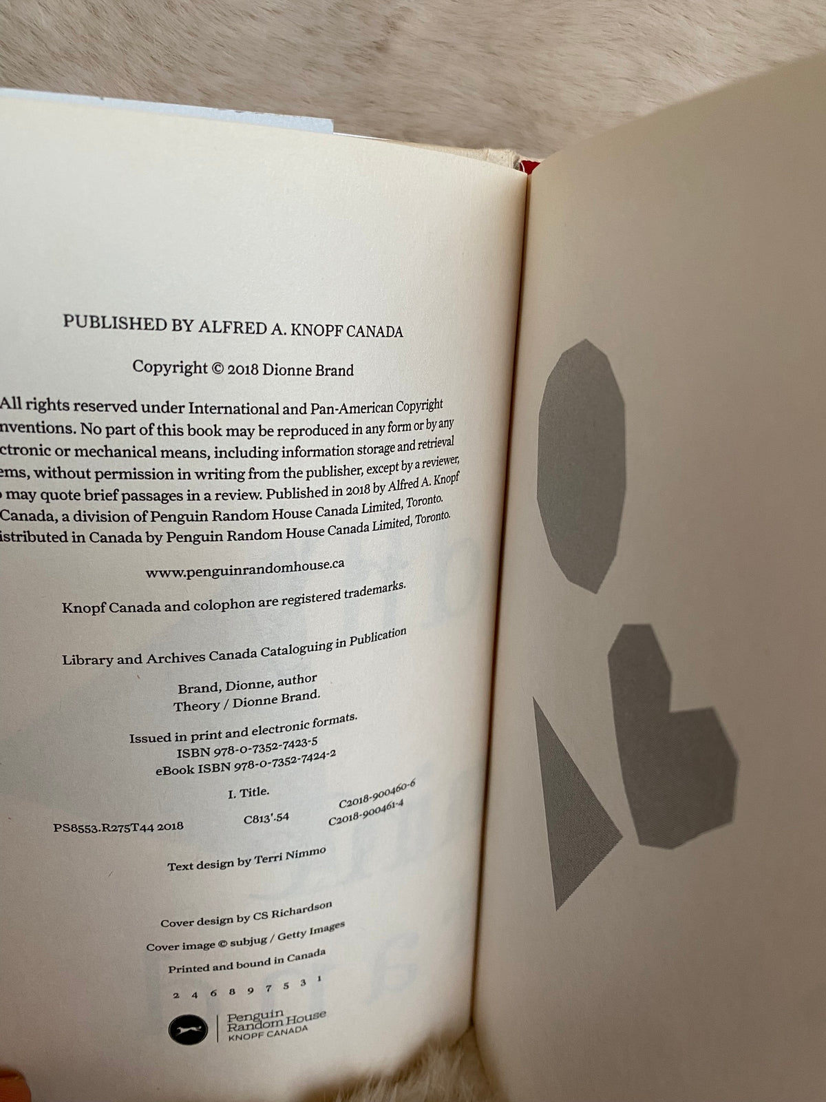 2018 First Edition: Theory, by Dionne Brand