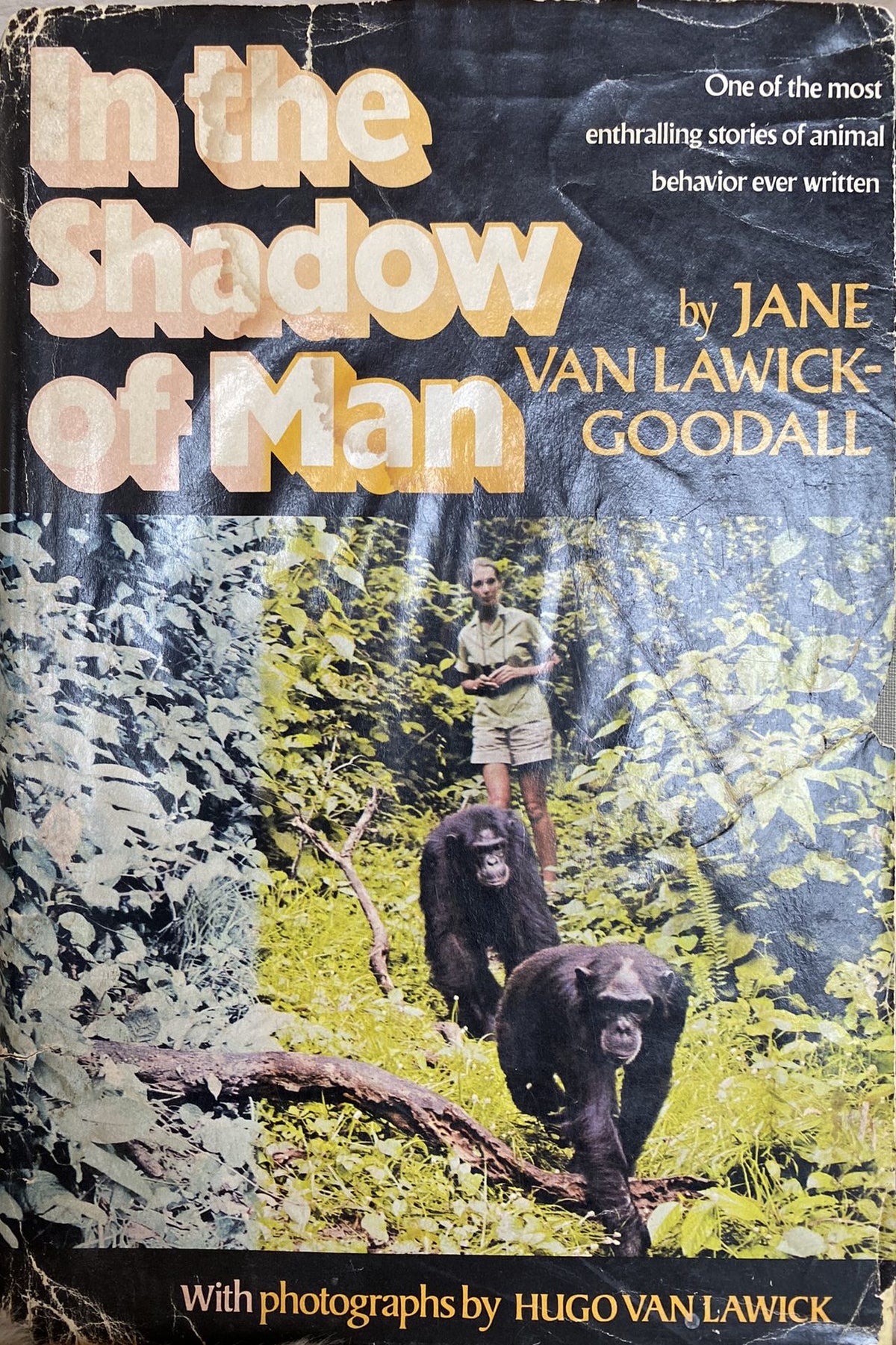 1971: In The Shadow of Man, by Jane Lawick-Goodall