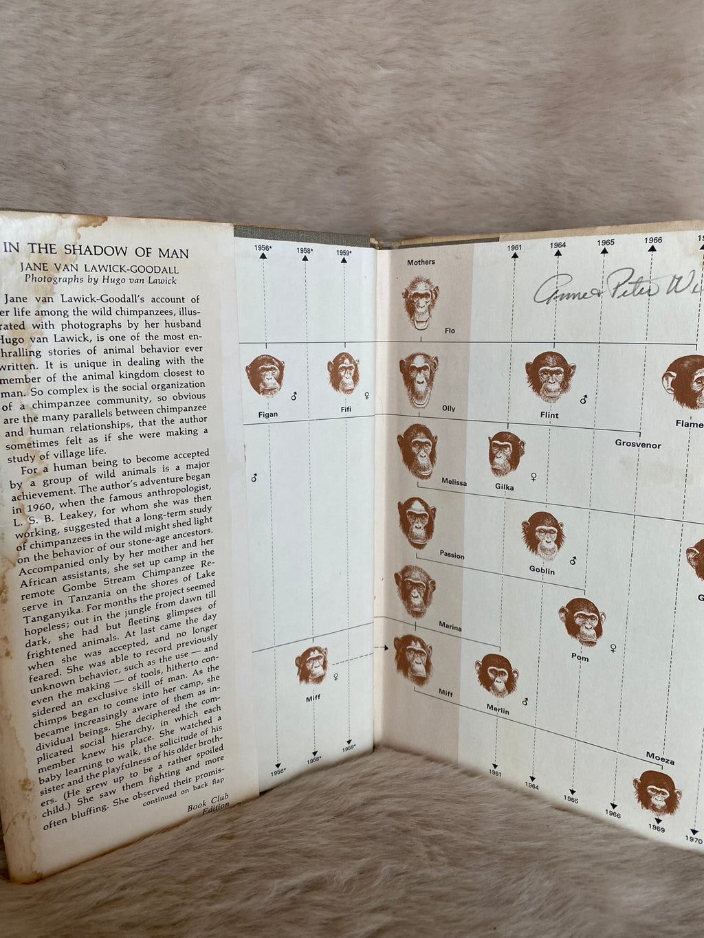 1971: In The Shadow of Man, by Jane Lawick-Goodall