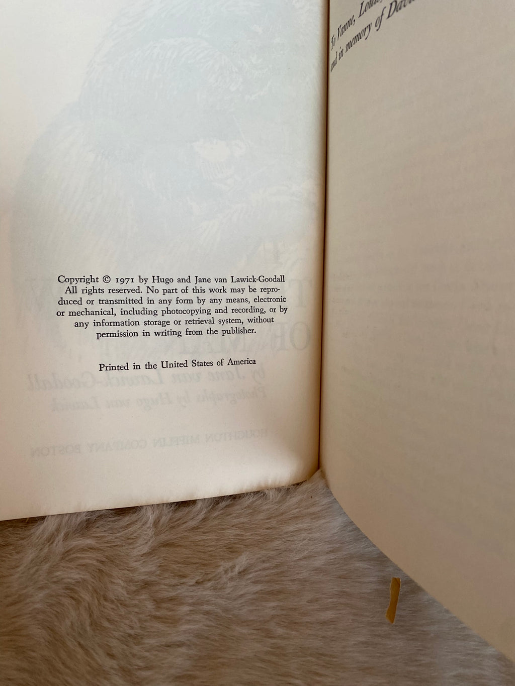1971: In The Shadow of Man, by Jane Lawick-Goodall