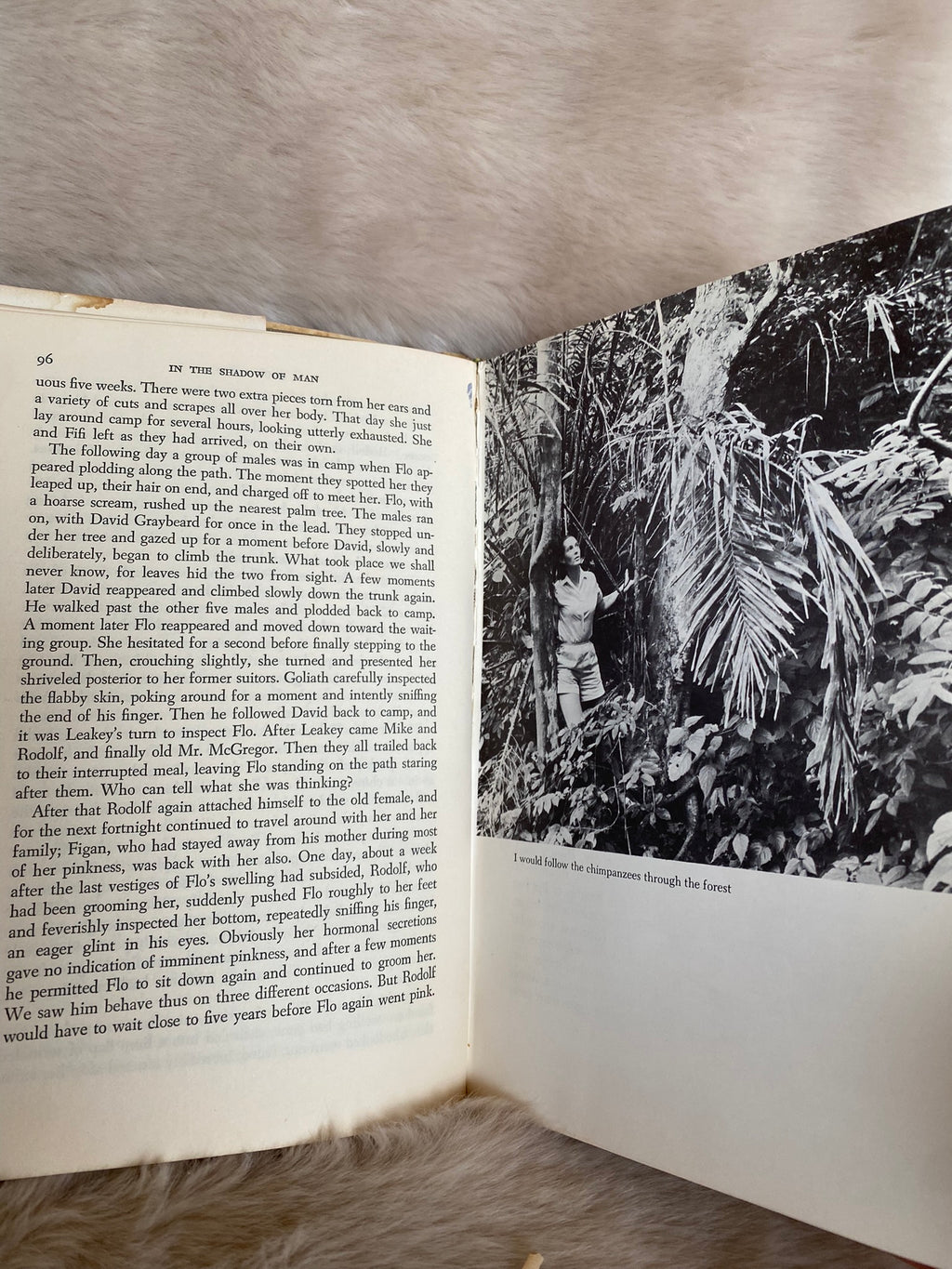 1971: In The Shadow of Man, by Jane Lawick-Goodall