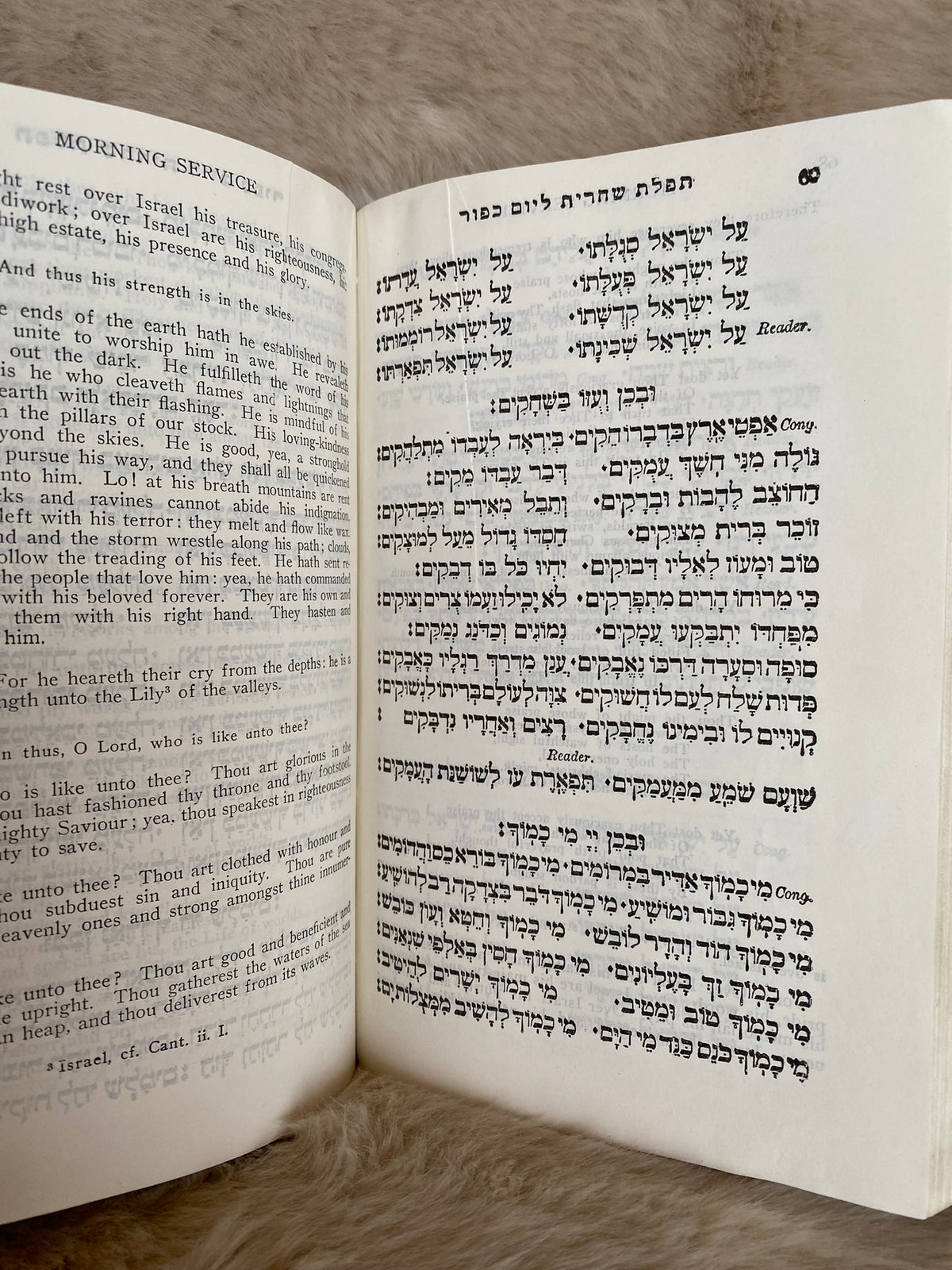 Synagogue Service: New Year and Atonement, ed. by Dr. H. Adler