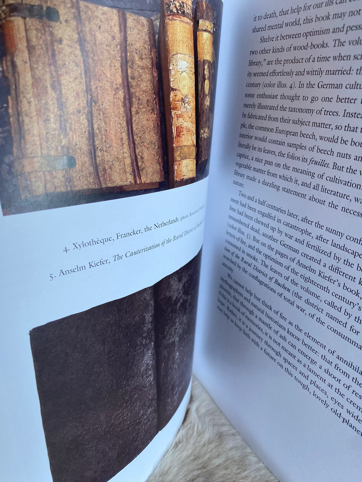 1995: Landscape &amp; Memory, by Simon Schama