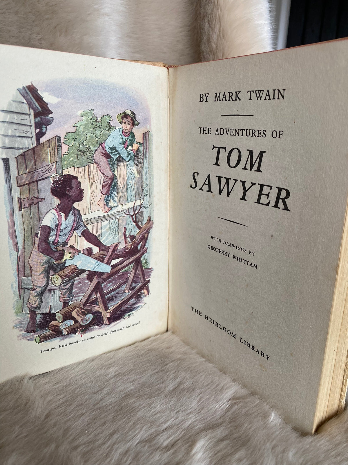 The Adventures of Tom Sawyer, by Mark Twain