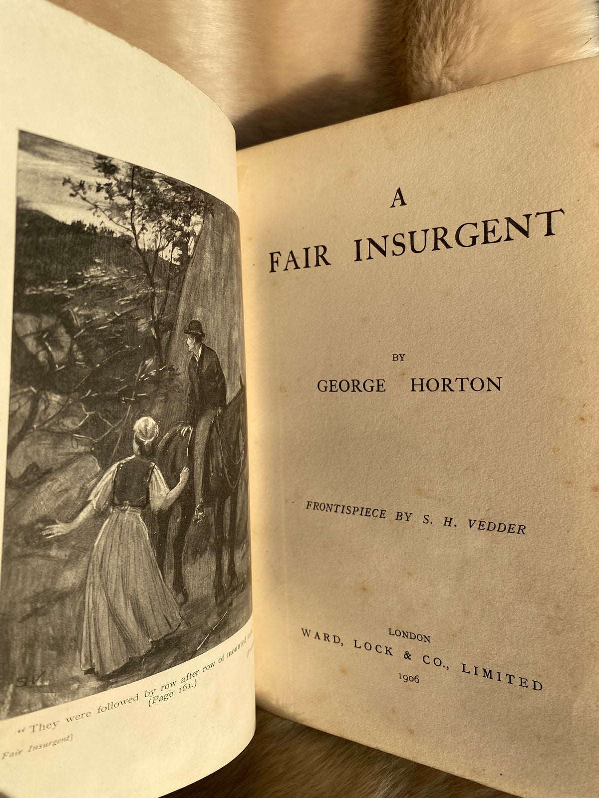 1906: A Fair Insurgent, by George Horton
