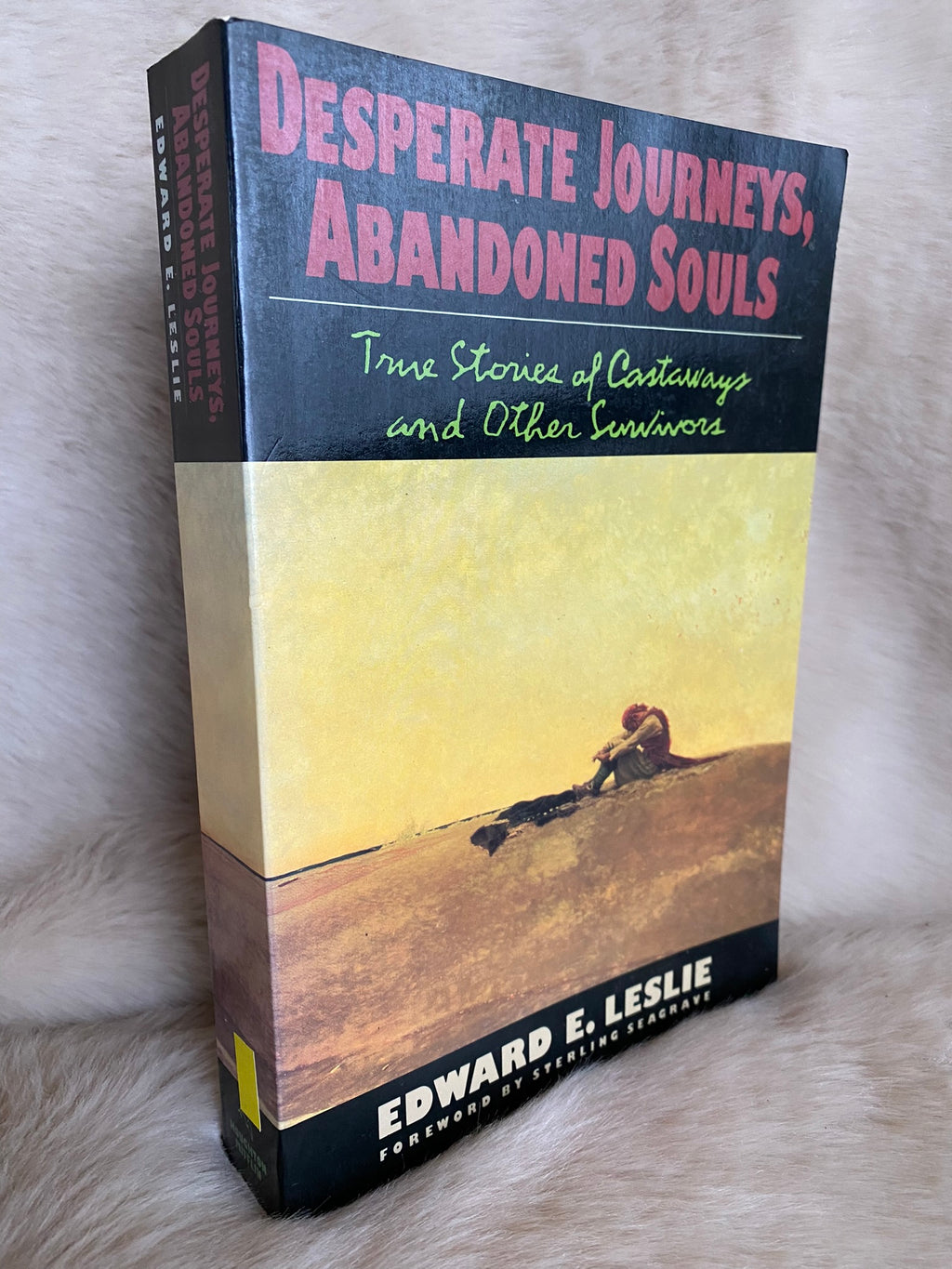 1988: Desperate Journeys, Abandoned Souls: True Stories of Castaways and Other Survivors, by Edward E. Leslie