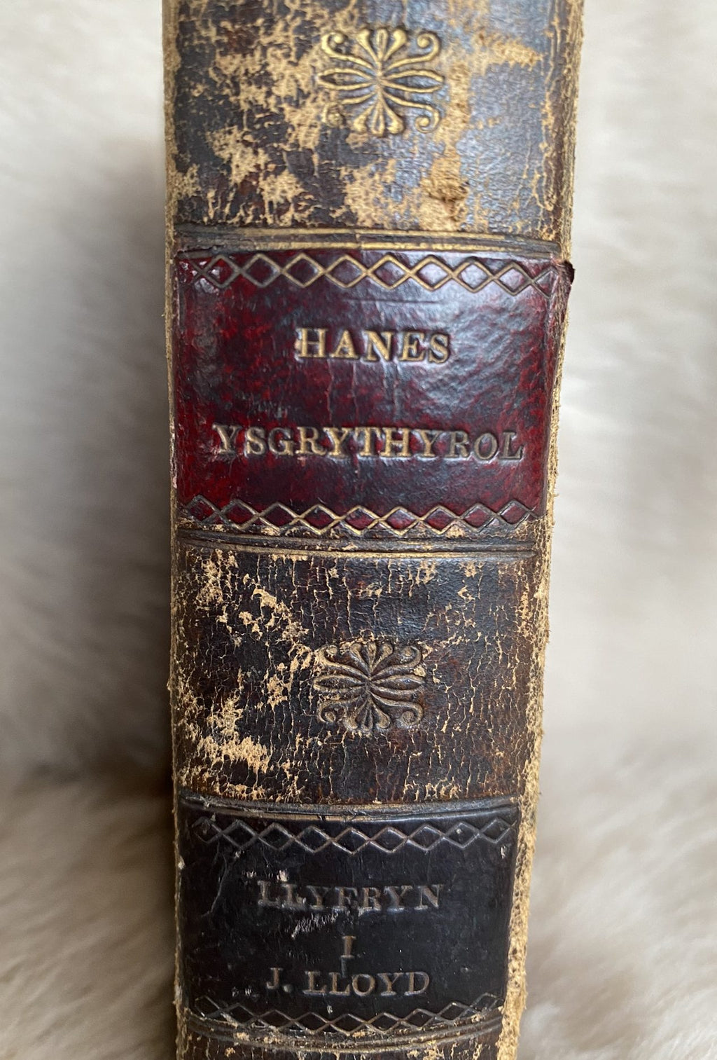 1829: Hanes Ysgrythyrol, gyda Bucheddau yr Apostolion enmocaf: er Difyrwch a Lles Ieuengctid Cymru, Llyfryn I - Welsh Hi