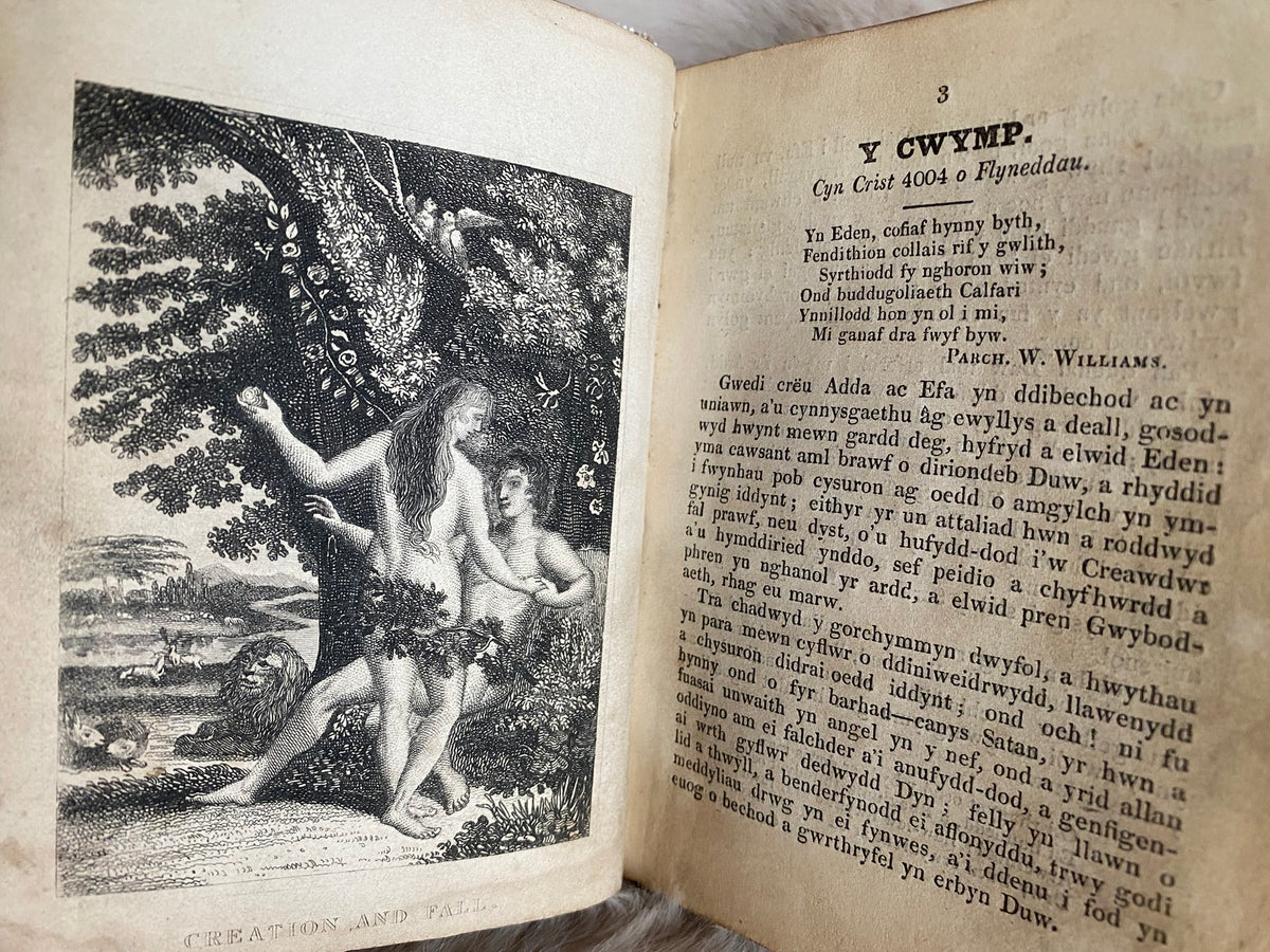 1829: Hanes Ysgrythyrol, gyda Bucheddau yr Apostolion enmocaf: er Difyrwch a Lles Ieuengctid Cymru, Llyfryn I - Welsh Hi