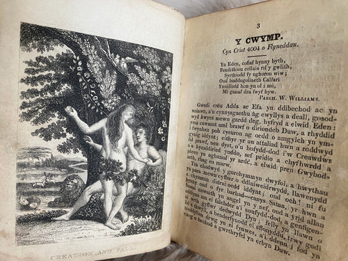 1829: Hanes Ysgrythyrol, gyda Bucheddau yr Apostolion enmocaf: er Difyrwch a Lles Ieuengctid Cymru, Llyfryn I - Welsh Hi