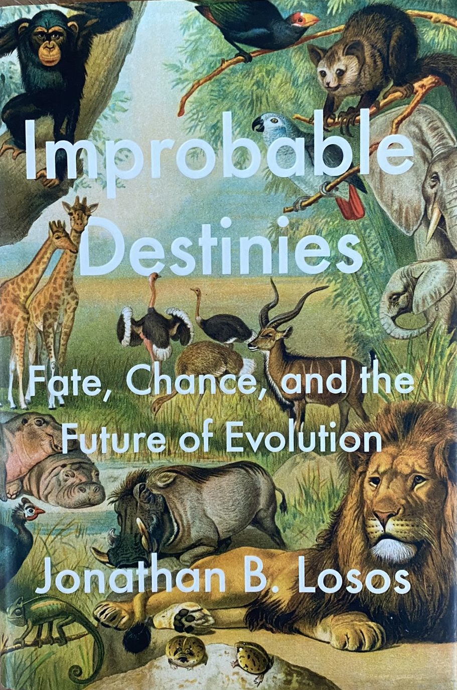 2017 First Edition: Improbable Destinies: Fate, Chance, and the Future of Evolution, by Jonathan B. Losos