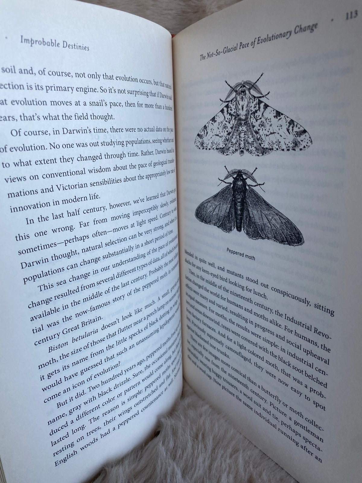 2017 First Edition: Improbable Destinies: Fate, Chance, and the Future of Evolution, by Jonathan B. Losos