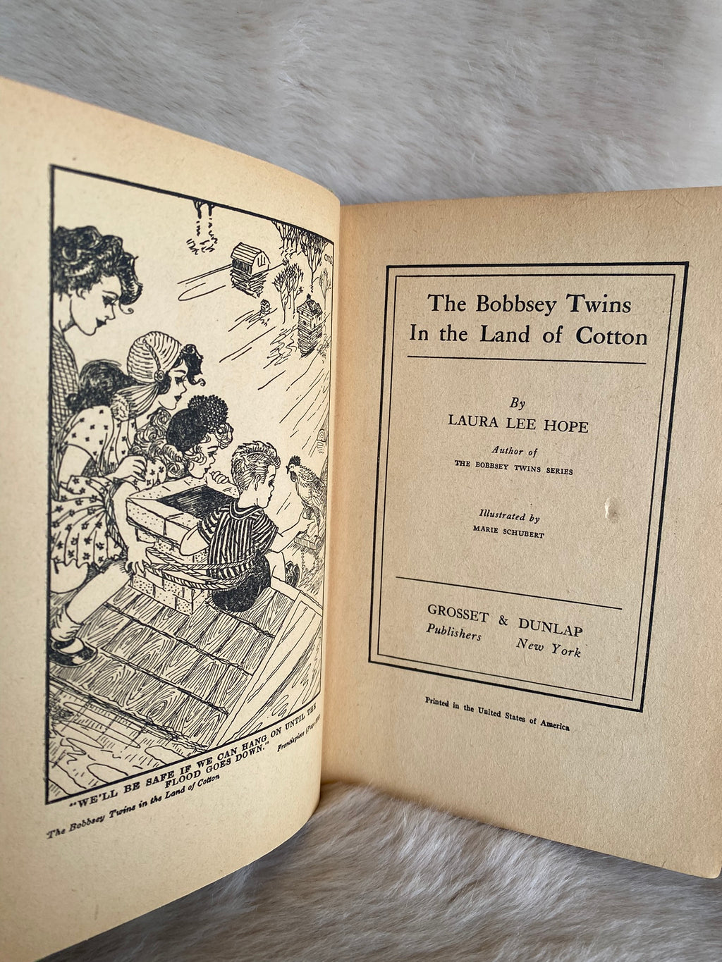 1942: The Bobbsey Twins In the Land of Cotton, by Laura Lee Hope