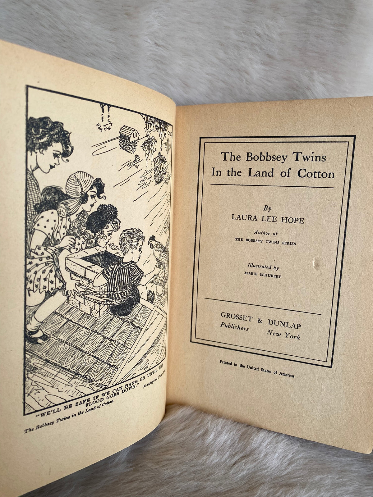 1942: The Bobbsey Twins In the Land of Cotton, by Laura Lee Hope