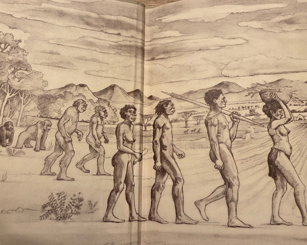 1978 People of the Lake: Mankind and its Beginnings, Richard E. Leakey, Roger Lewin