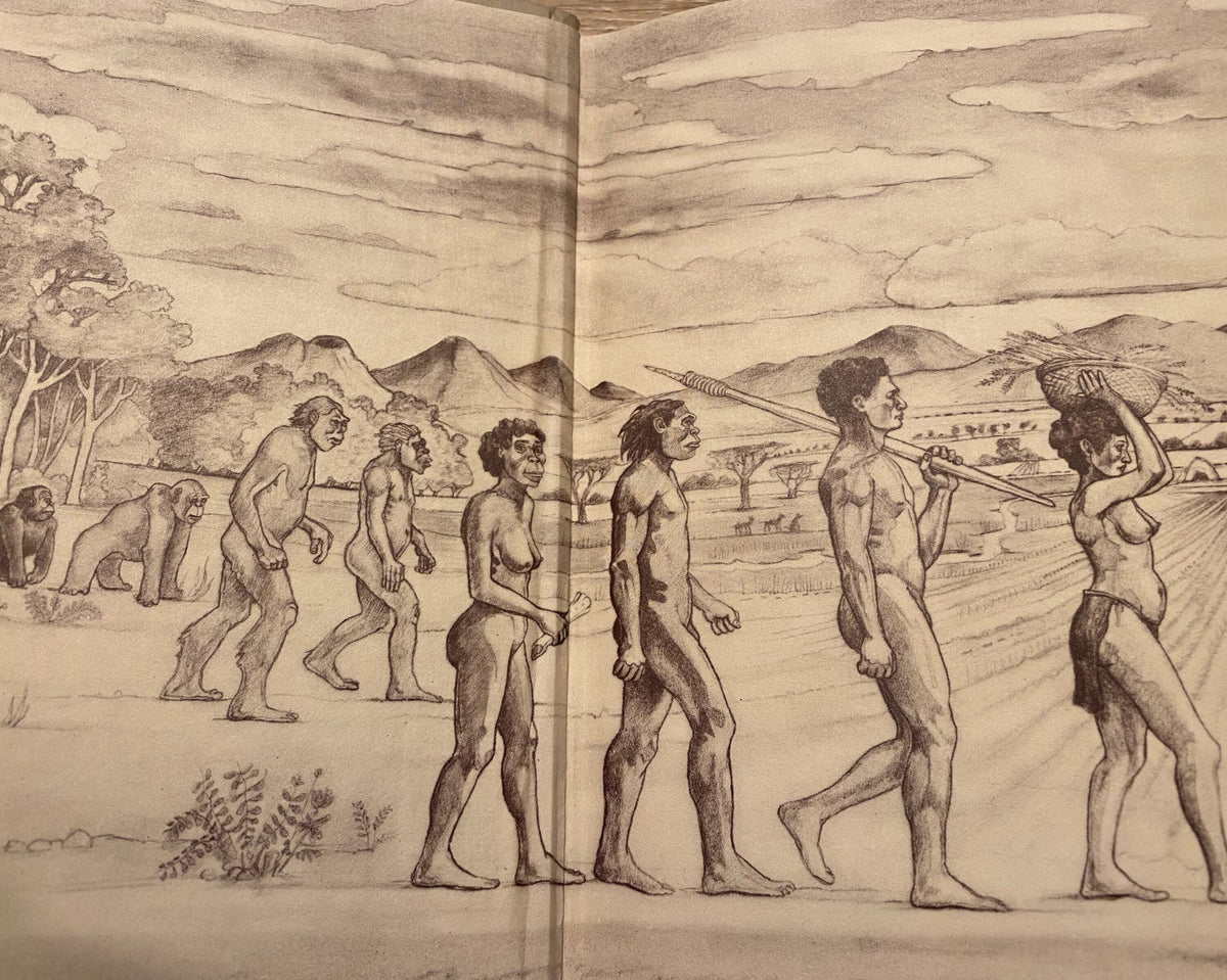 1978 People of the Lake: Mankind and its Beginnings, Richard E. Leakey, Roger Lewin