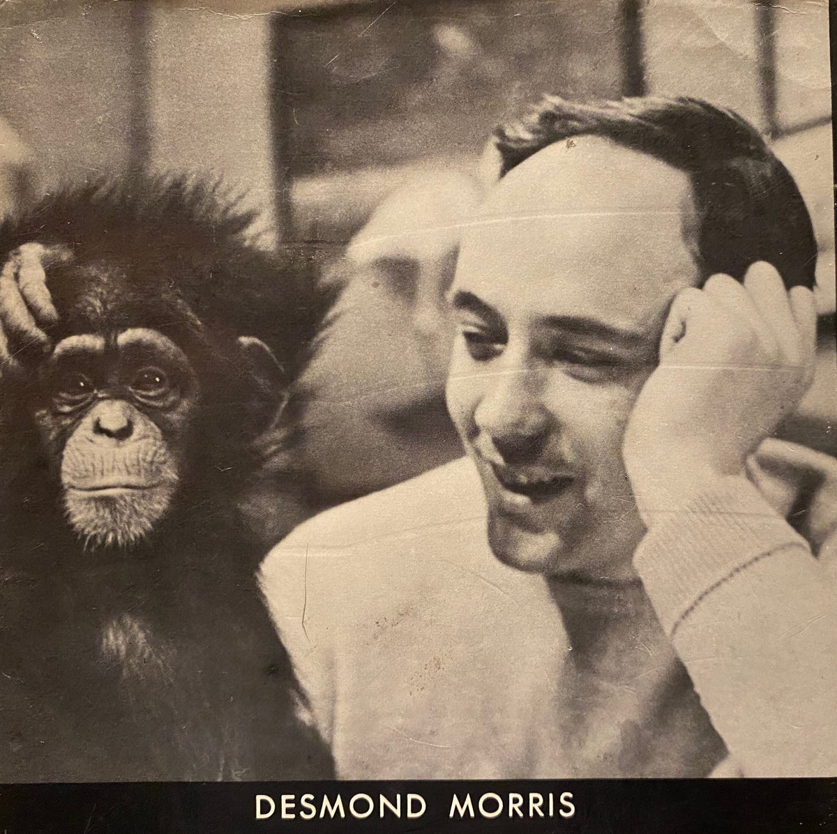1967 The Naked Ape: A Zoologists Study of the Human Animal, by Desmond Morris, McGrawHill
