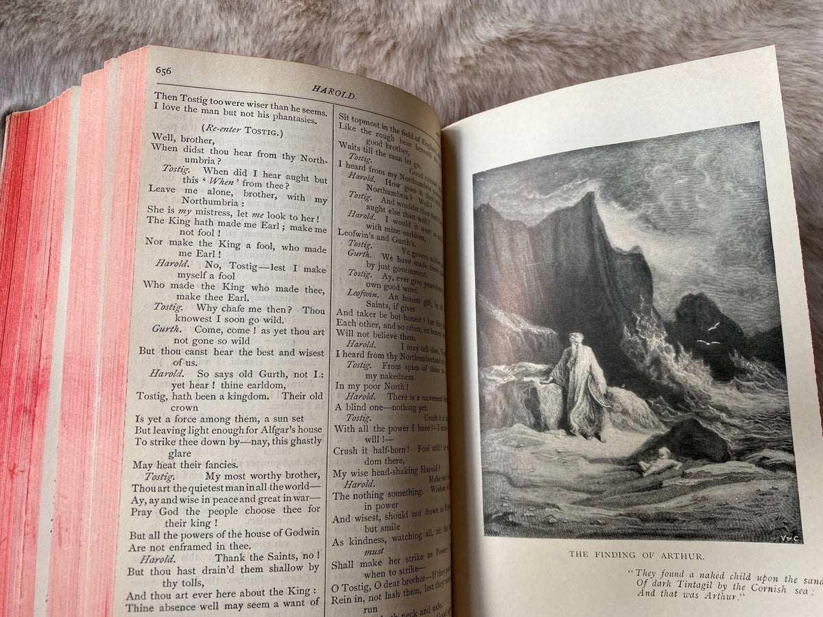 1898: The Complete Works of Lord Alfred Tennyson, Poet Laureate, Illustrations by Gustave Dore
