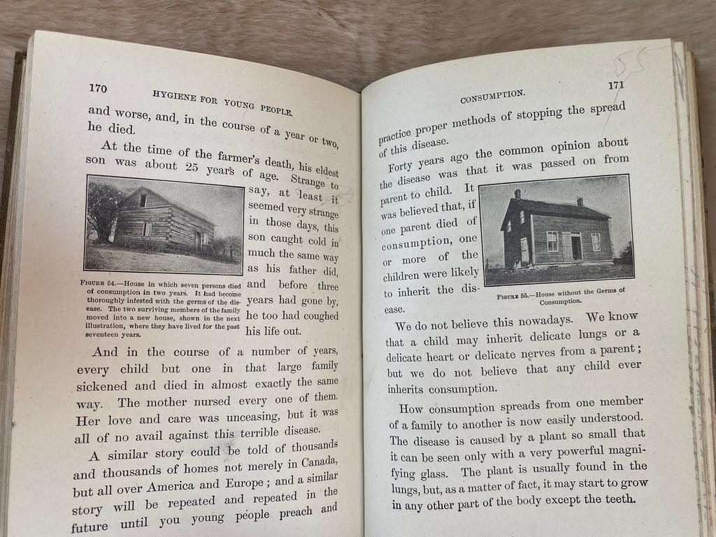 1919: Hygiene for Young People, a Reader for Pupils in Form III on the Public Schools, by A. P. Knight