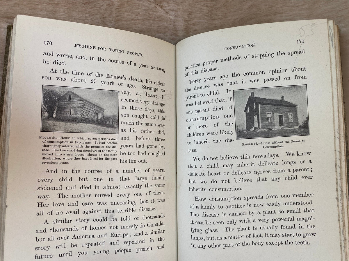1919: Hygiene for Young People, a Reader for Pupils in Form III on the Public Schools, by A. P. Knight