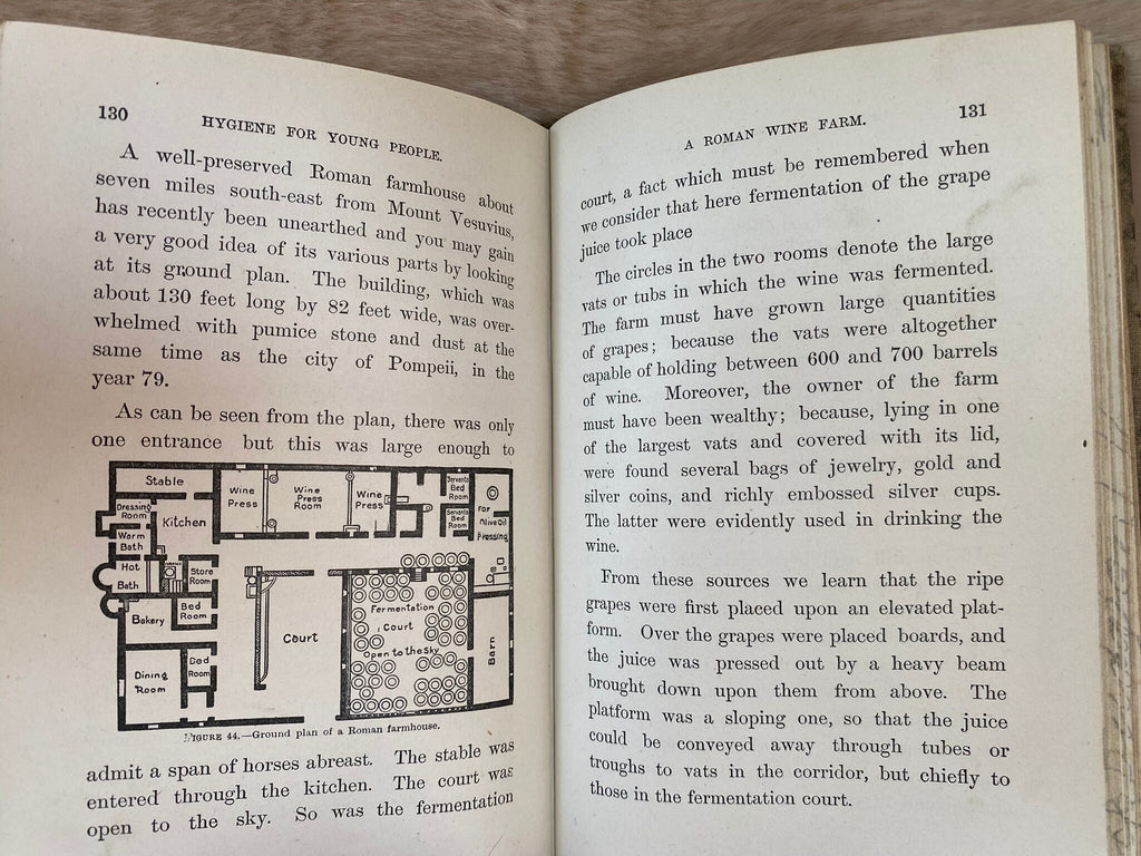 1919: Hygiene for Young People, a Reader for Pupils in Form III on the Public Schools, by A. P. Knight