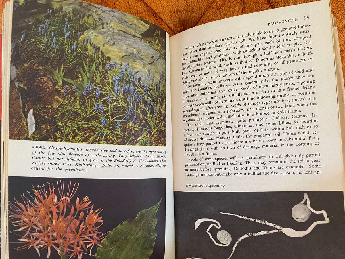 1953: The Complete Book of Bulbs, by F.F. Rockwell &amp; Esther C. Grayson