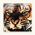 Survivor - Eye Of The Tiger | 1982 | Scotti Bros. Records | Vinyl LP